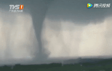 湛江现双眼龙卷风 树木被连根拔起