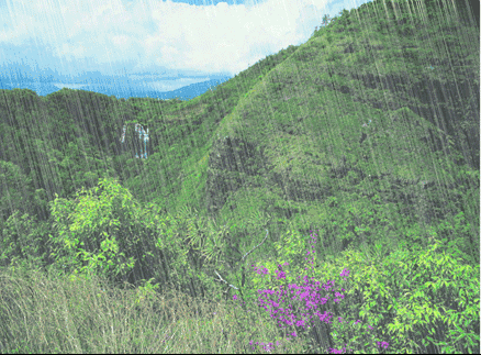 海南马马开启阵雨模式,气温下降至……周末要泡汤!