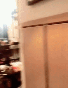 搞笑gif:长成它这样,到底是鸽子犯了错,还是母鸡变了心?