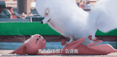 9 电影《爱宠大机密》中,最能打的狗狗是?