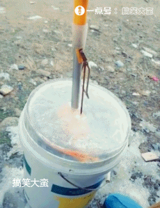 搞笑gif:大家看我画的这个美女,是不是很传神?