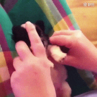 320_320 gif 动态图 动图