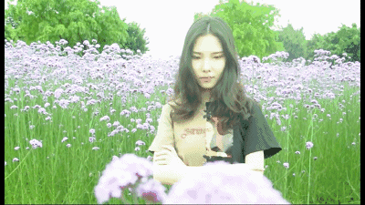 【攻略】来花海公园看马鞭草吧!小福解锁最美拍摄姿势
