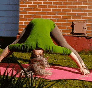 听说你想在宠物面前练瑜伽,喵星人阴险地笑了