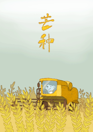 今日1时29分,芒种