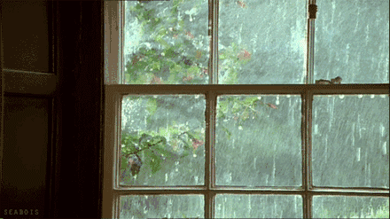 27日小雨
