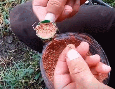 在芦苇处用瓶盖钓鱼,这钓法真新颖,还有鱼咬钩了