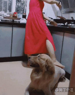 260_327 竖版 竖屏