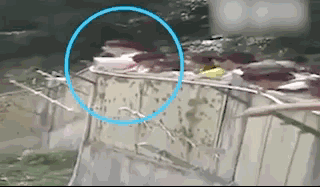 320_187 gif 动态图 动图