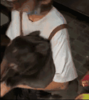 狗子对着小姐姐就是一阵的叫嚣 汪:小伙子,你很有胆量啊,敢挑战我