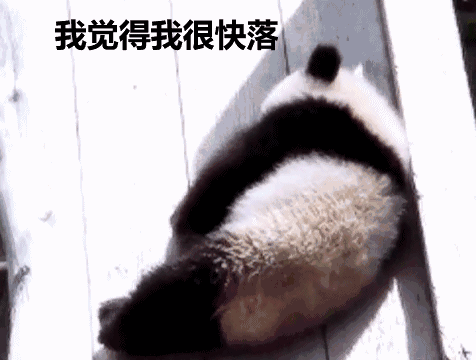 中国“顶流”要回家,美国人的反应是这样的