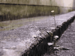 南方请注意!未来一周阴雨天气"干劲十足 天气展望