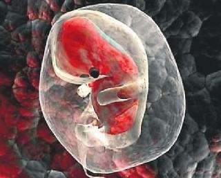 日本过去17年诞生118名跨辈婴儿 公公精子媳