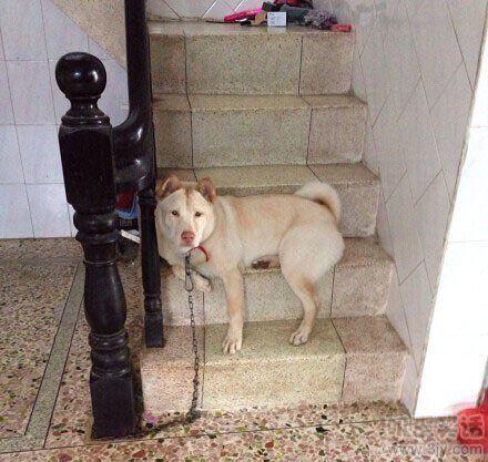 媳妇看<em>了我</em>一眼就把<em>内裤</em>脱了(3)