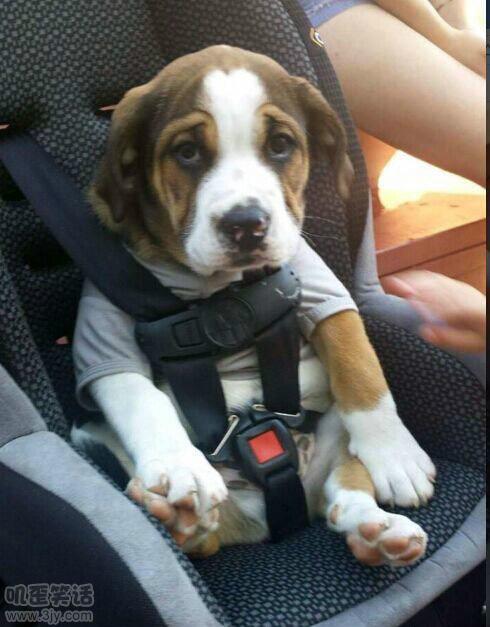 媳妇看<em>了我</em>一眼就把<em>内裤</em>脱了(7)