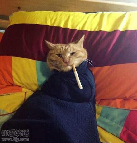 <em>妹纸洗澡去了</em> 屌丝:多喝点水(3)