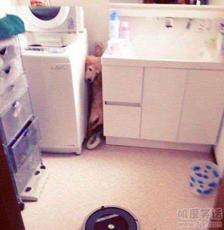 <em>妹纸洗澡去了</em> 屌丝:多喝点水(5)