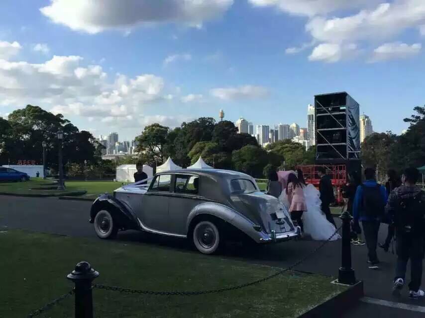 曝刘强东与<em>奶茶妹妹</em>于悉尼拍婚纱照 男方悉心