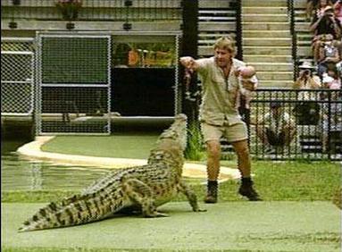 母猪体内惊现婴儿吓坏当地村民(17)