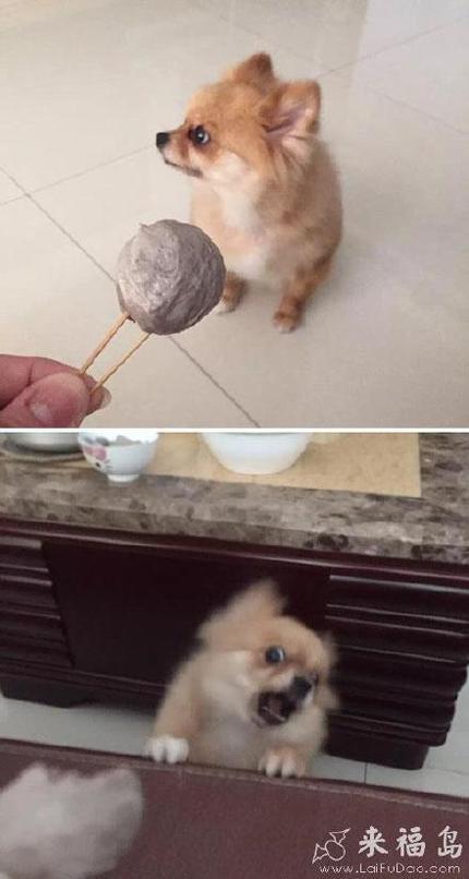 妹子,你<em>奶罩太厚</em>,听不到心跳(11)