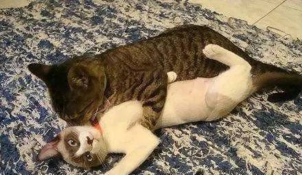 你一个大男人,怎么给我生孩子(7)