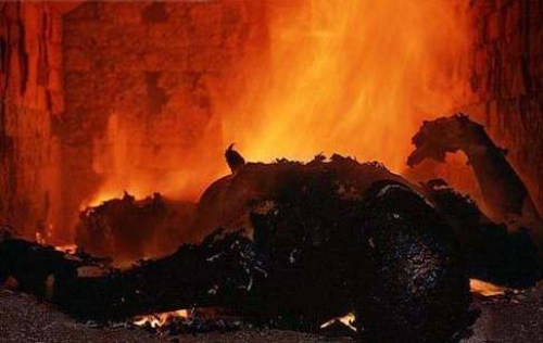 图解火葬场炼尸胆小勿入(14)