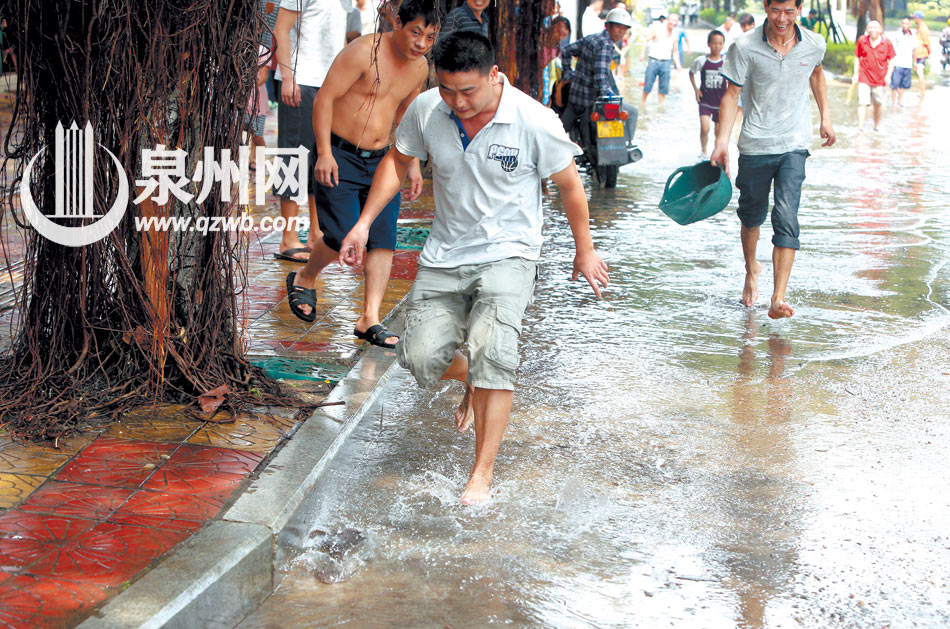福建泉州市民众暴雨过后街头围捕抓鱼