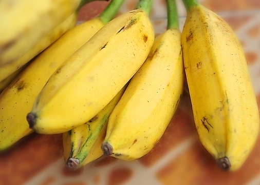 <em>女童吃芭蕉噎死</em>图片 <em>女童吃芭蕉噎死</em>图片大全