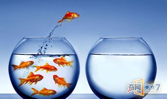 曝光唐山大地震前后惊现骇人一幕 40年无解(3