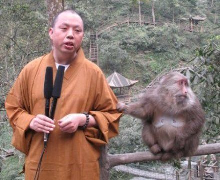 延参法师点拨高速堵车:念心经,正是修行好时候