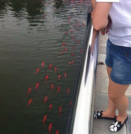 当然,我一向都喜欢有夫之妇(5)