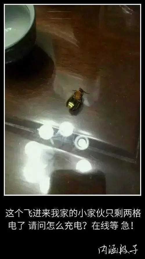 一个叫明月的姑娘,脱了个精光(5)