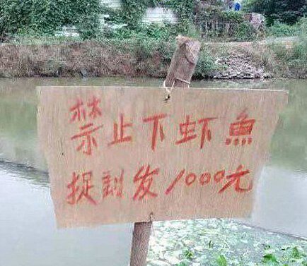 姐,我热,<em>掀开</em>了<em>裙子</em>透透气(6)