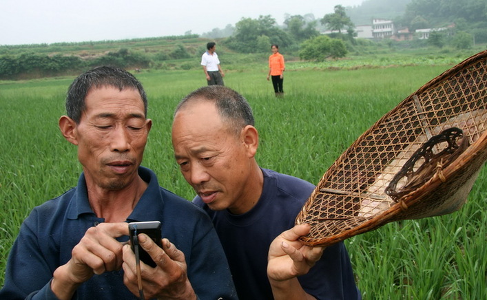 农业部通知要求用3年时间教会农民手机上网