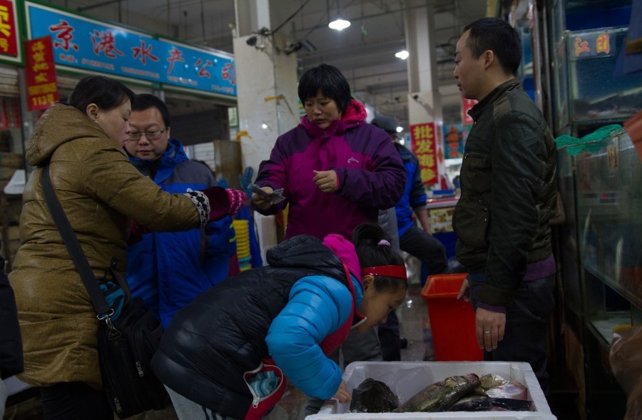 实拍北京海鲜市场:鲨鱼鳄鱼肉标语惹眼(4)
