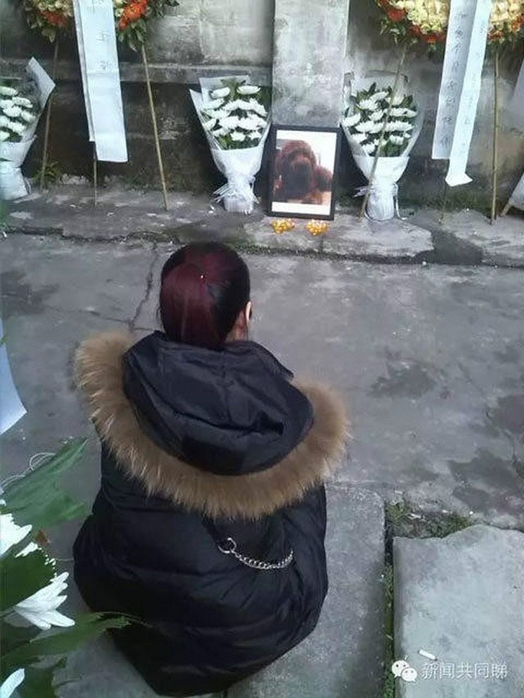 广东工业园内女子摆数十花圈悼念爱犬(4)