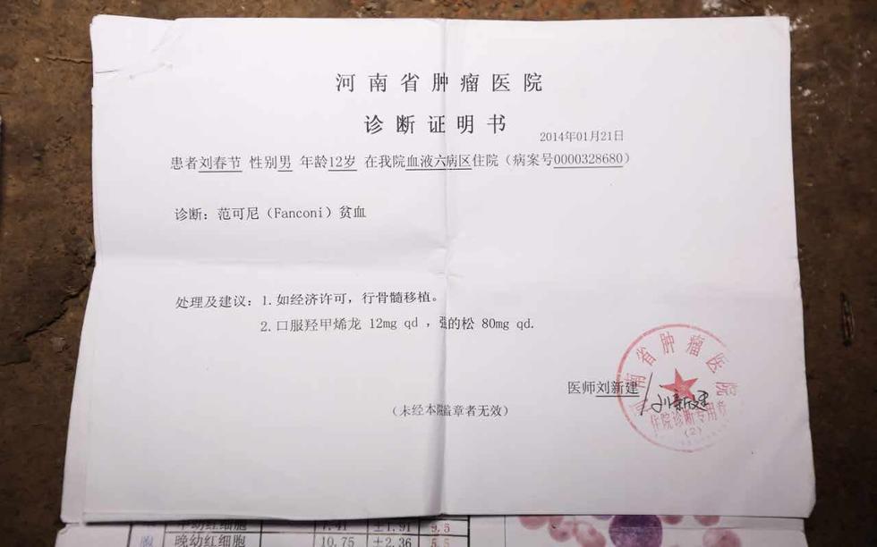 诊断书上写着:刘春节患有范可尼贫血,建议经济条件允许,进行骨髓移植.