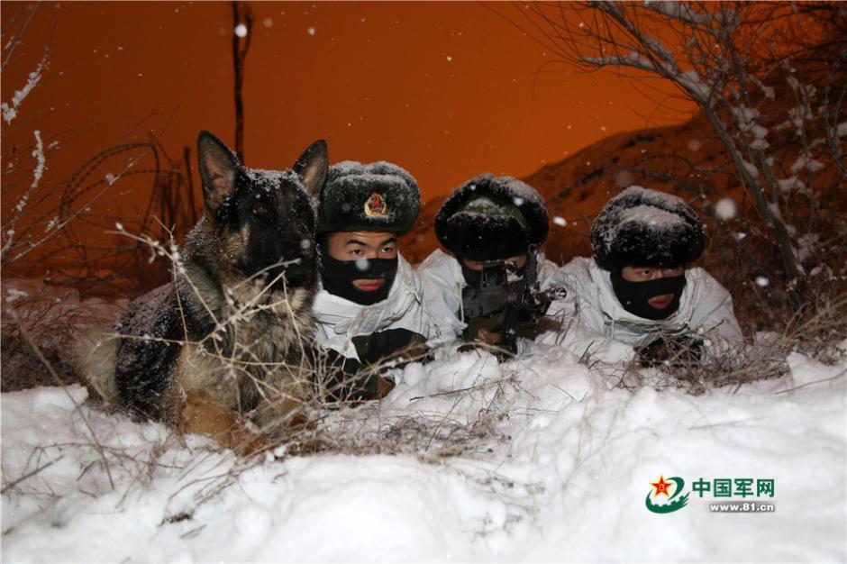 边防民兵雪夜潜伏军犬头顶积雪(1)
