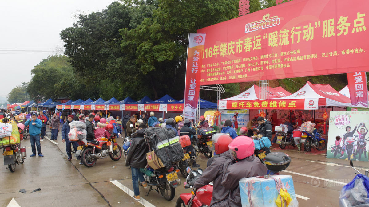 广东志愿者给返乡狗狗喂食 网友赞太有爱(2)