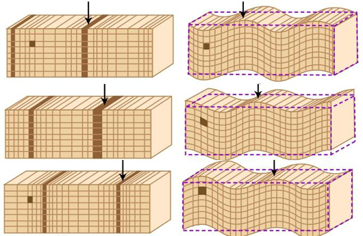 横波和纵波的区别图片