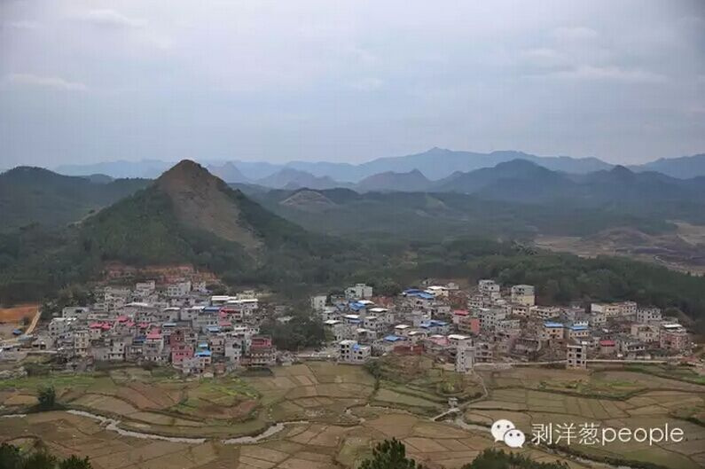文章配图