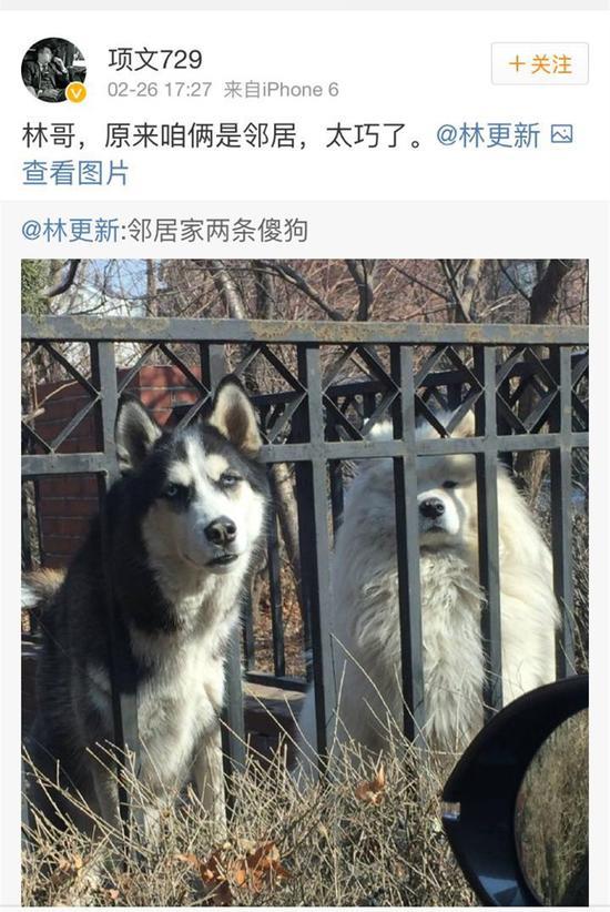 林更新调侃邻居家傻狗 被主人发现超尴尬