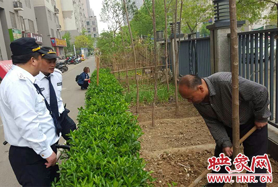 2016年4月5日,郑州市燕庄村一村民住上了高楼,却仍然放不下种地种菜.