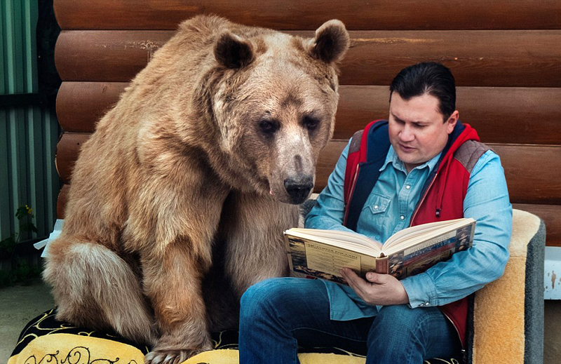 俄罗斯夫妇收养一个熊儿子