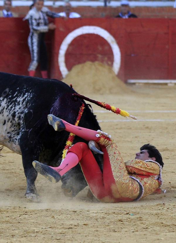 西班牙斗牛士遭公牛刺伤 伤势过重身亡