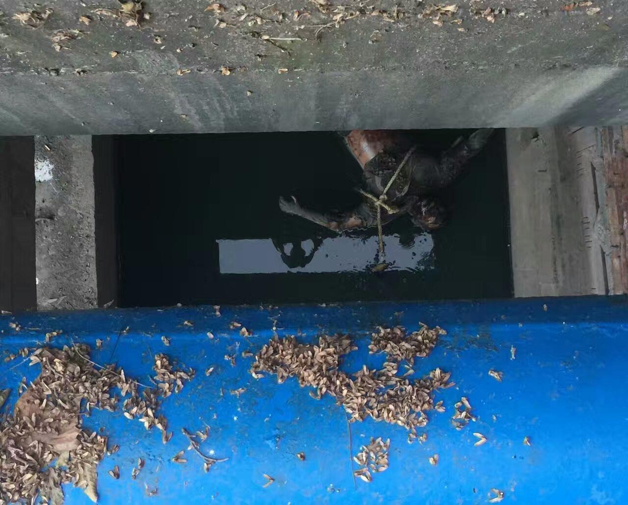 南京逸仙桥下现一具男尸 已呈腐烂状态