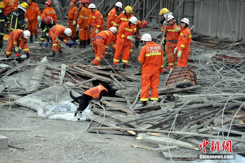 江西丰城在建电厂坍塌现场 搜救犬寻找失踪者