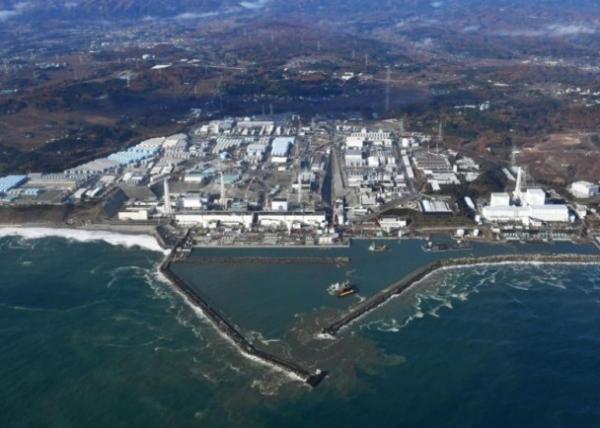 日本福岛核灾区现手掌大“巨型生蚝”