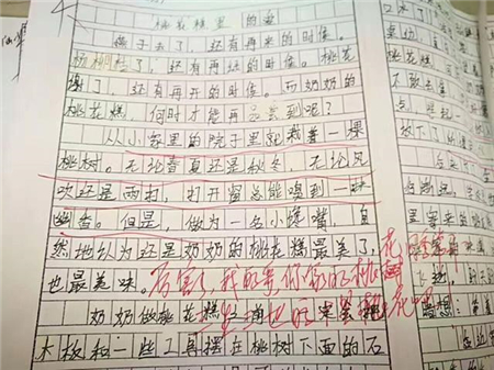 初中生作文惊现"三生三世十里桃花"这位老师的点评太搞了!