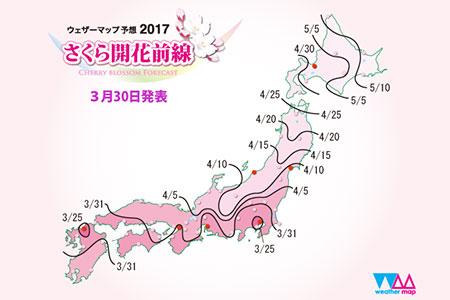 由于日本地形狭长,南北气候差异较大,樱花由温暖的日本列岛南端向北